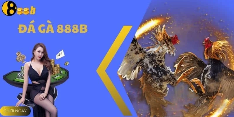 Đá Gà 888B - Thế Giới Chiến Kê Vô Cùng Chiến Năm 2025