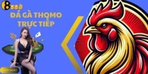 Đá Gà Thomo Trực Tiếp - Xem Trận Đấu Nảy Lửa Cùng 888B