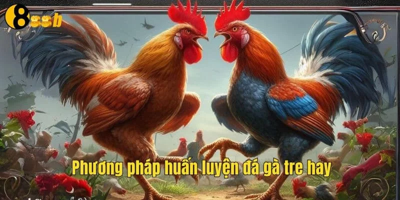 Phương pháp huấn luyện đá gà tre hay