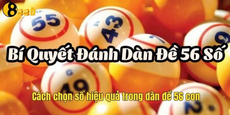 Phân tích con số và phương pháp cược