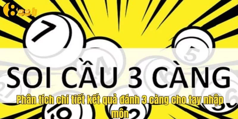 Chi tiết cách phân tích kết quả đánh 3 càng