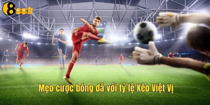 Các yếu tố tác động đến kèo