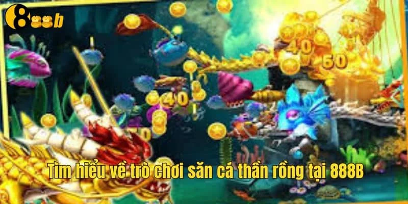 Tìm hiểu về trò chơi săn cá thần rồng