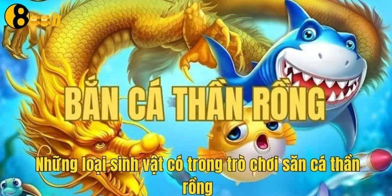 Những loại sinh vật có trong trò chơi săn cá thần rồng