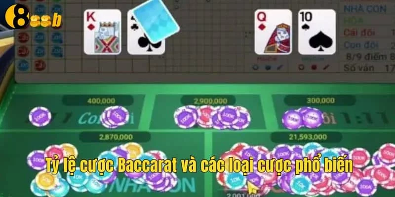Các loại tỷ lệ cược baccarat phổ biến